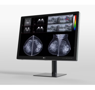 M&agrave;n h&igrave;nh chẩn đo&aacute;n 31&rdquo; 12MP  31HN713D